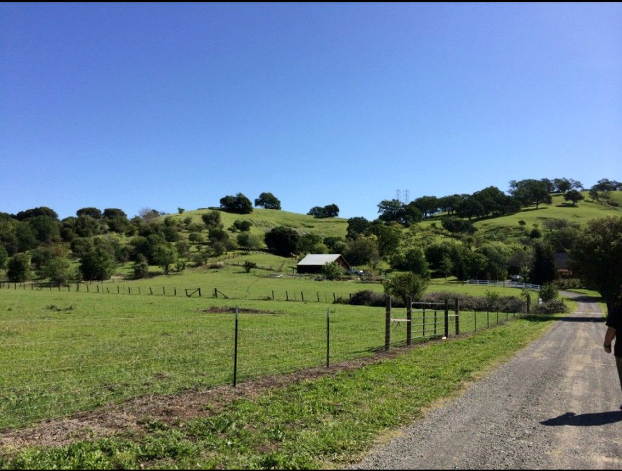 Spacious Fall Getaway with Two Separate Cottages near Napa, California