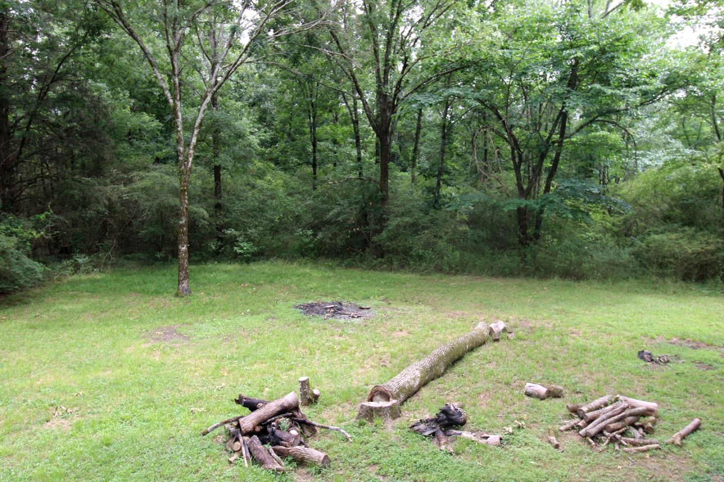 Charming Cottage Nestled Amidst Trees in Hot Springs, Arkansas