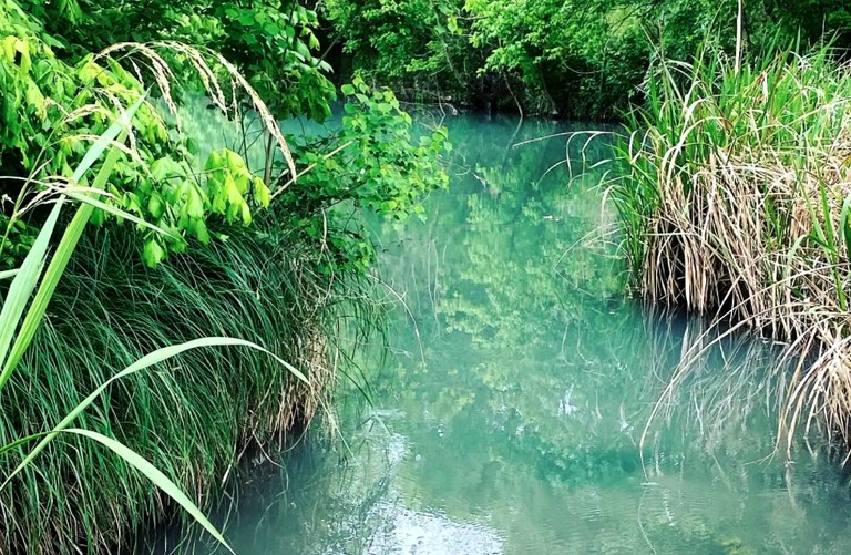 Cabins (United States of America, --, --)