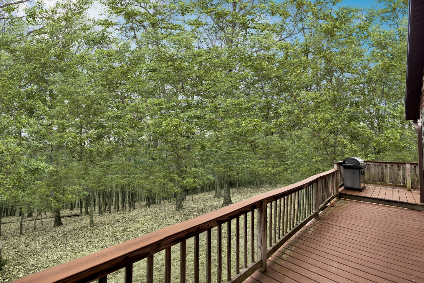 Idyllic Woodland Cabin Retreat near Lost River in West Virginia