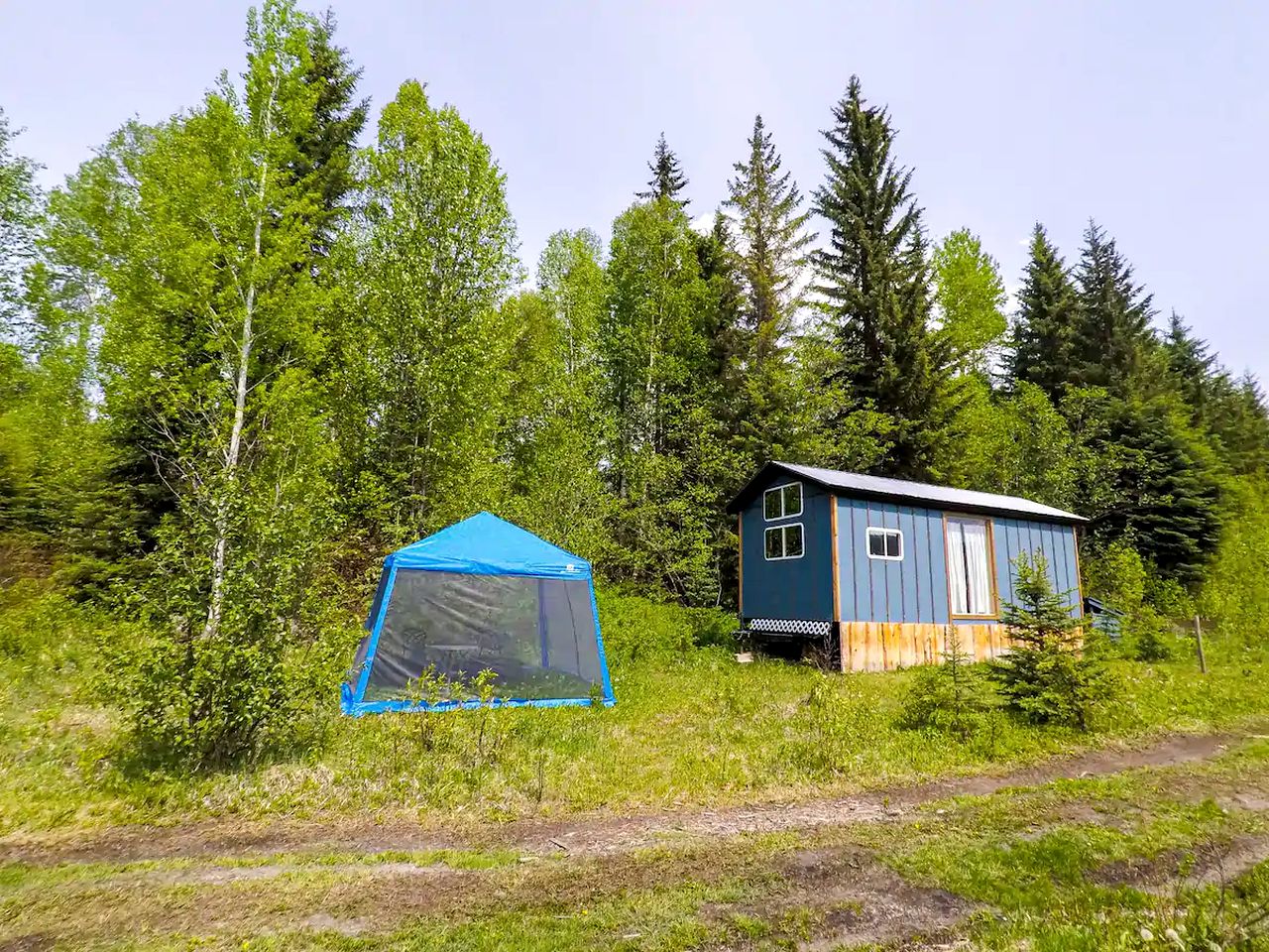 Fabulous Dogsled Retreat Ideal for Columbia Valley Vacations