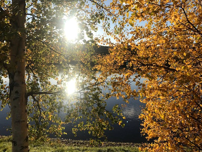 Yurts (Rovaniemi, Lapland, Finland)