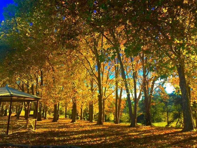 Cottages (Coonabarabran, New South Wales, Australia)