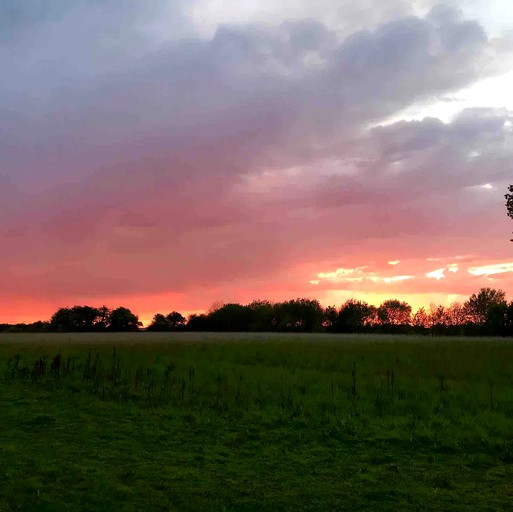 Huts (Stewton, England, United Kingdom)