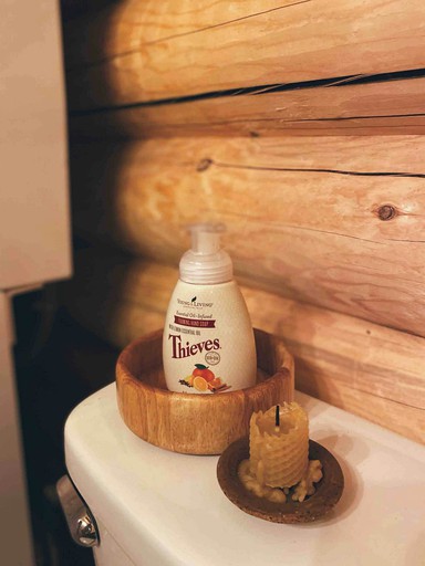 Cabins (Florissant, Colorado, United States of America)