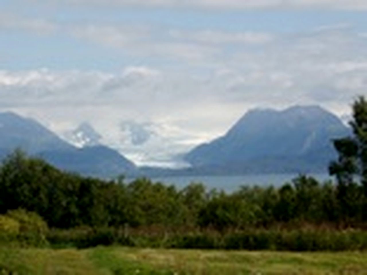 Secluded Cabin Rental near Halibut Cove in Homer, Alaska