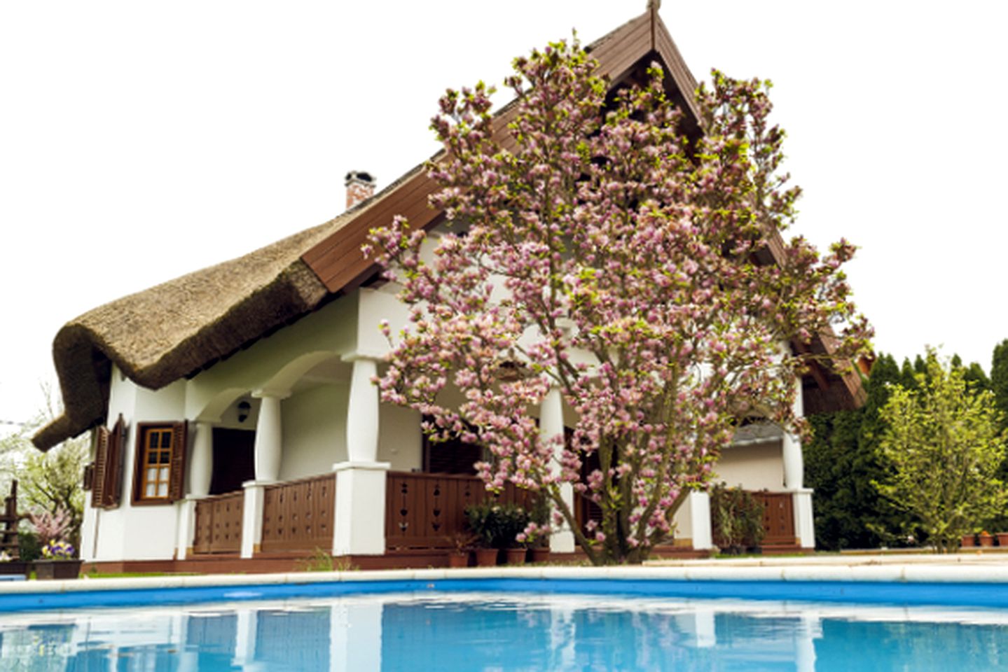 Riverfront Holiday Cottage with Private Swimming Pools near Szarvas, Hungary