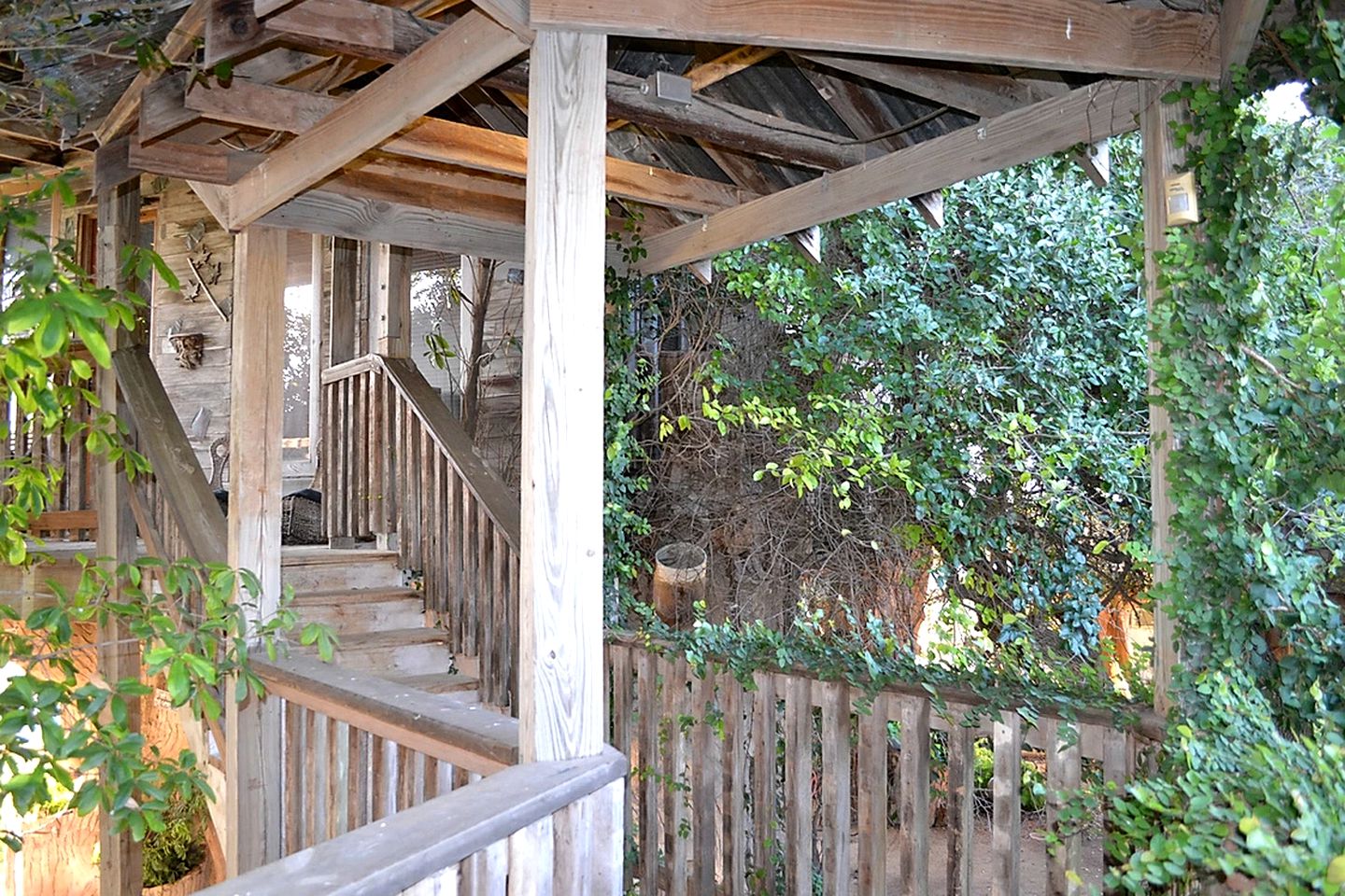 Tree House Austin Guadalupe River Texas Rental, New Braunfels River
