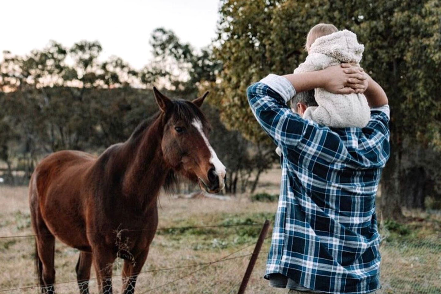 Charming Tiny Home Rental on a Working Alpaca Farm for Glamping in New South Wales