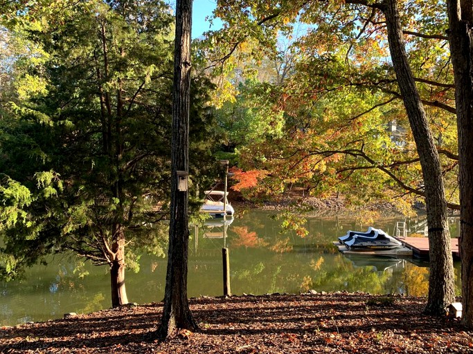 Tiny Houses (Lake Wylie, South Carolina, United States of America)