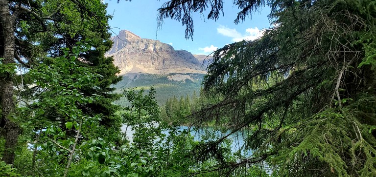 Castle Provincial Park Cabin | Cabins (Pincher Creek MD #9, Alberta, Canada)