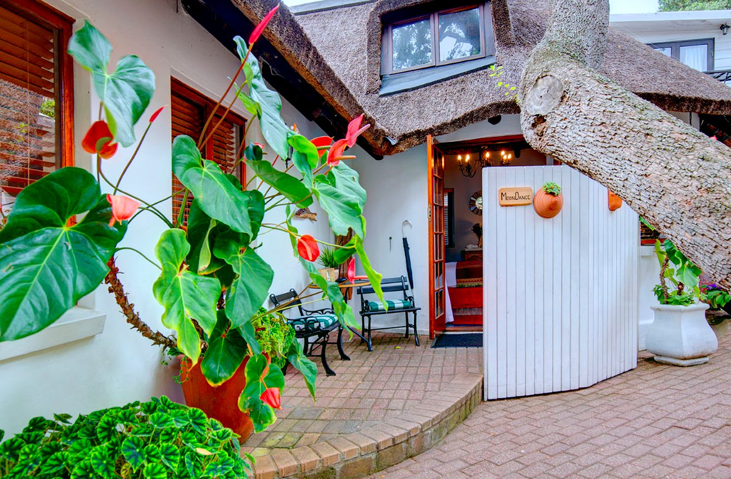 Thatch-Canopy Lodge Getaway Rental in the Western Cape, South Africa | Nature Lodges (Wilderness, Western Cape, South Africa)