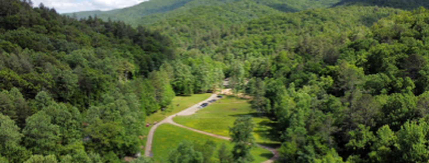 Dog-Friendly Cottage with Jacuzzi Tub Nestled in the Woods near Helen, Georgia