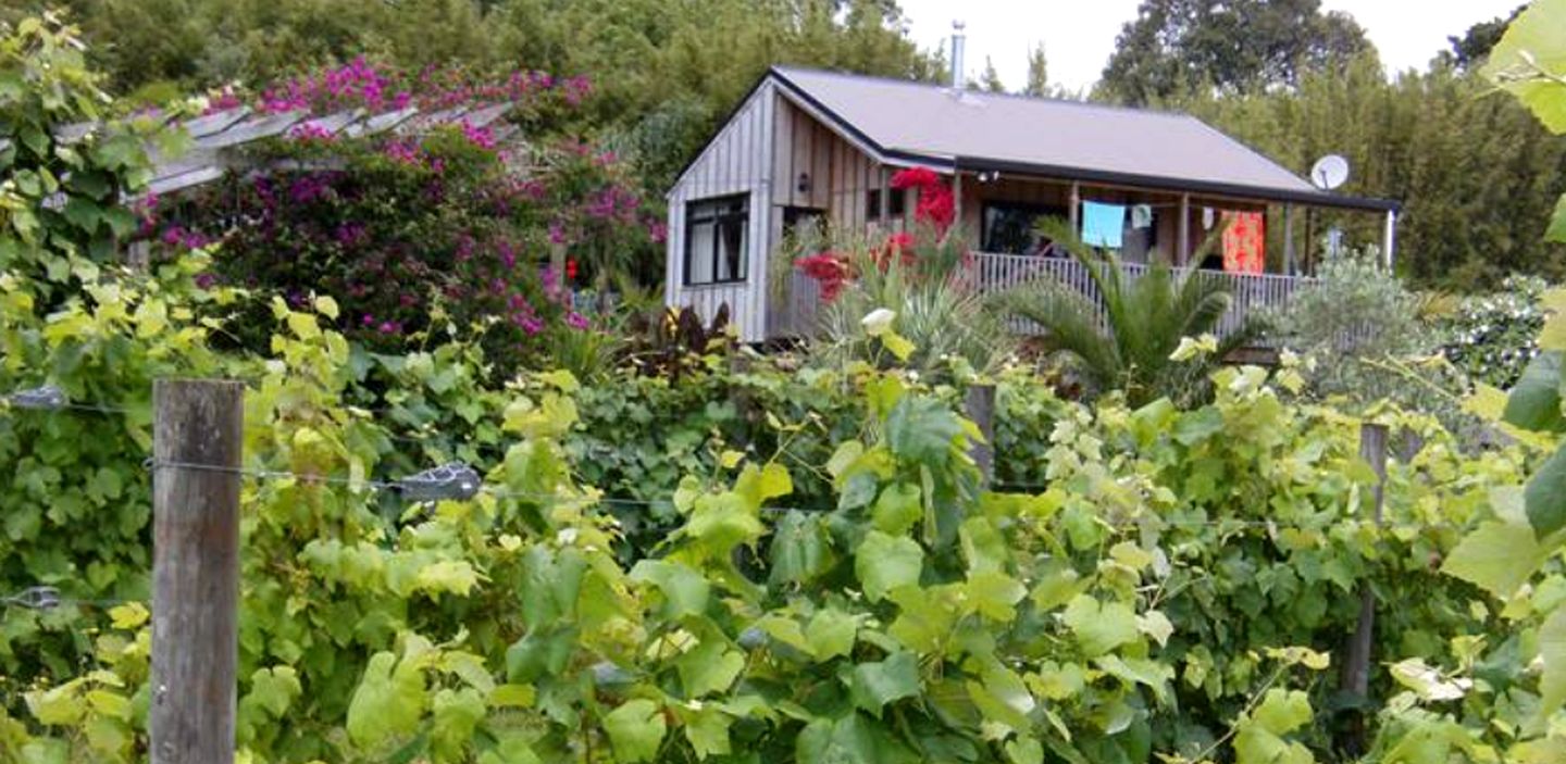 Tranquil Cottage Rental with Incredible Views near Paihia, Bay of Islands in New Zealand