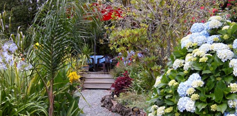 Tranquil Cottage Rental with Incredible Views near Paihia, Bay of Islands in New Zealand | Cabins (Oromahoe, North Island, New Zealand)