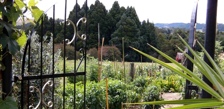 Tranquil Cottage Rental with Incredible Views near Paihia, Bay of Islands in New Zealand | Cabins (Oromahoe, North Island, New Zealand)