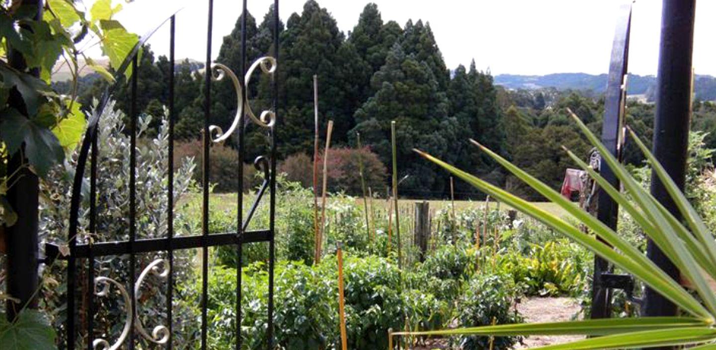 Tranquil Cottage Rental with Incredible Views near Paihia, Bay of Islands in New Zealand