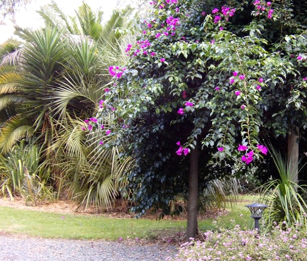 Tranquil Cottage Rental with Incredible Views near Paihia, Bay of Islands in New Zealand | Cabins (Oromahoe, North Island, New Zealand)