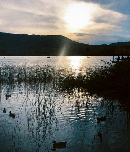 Fantastic Bubble Rental for a Romantic Getaway near Girona, Spain | Bubbles (Banyoles, Catalonia, Spain)
