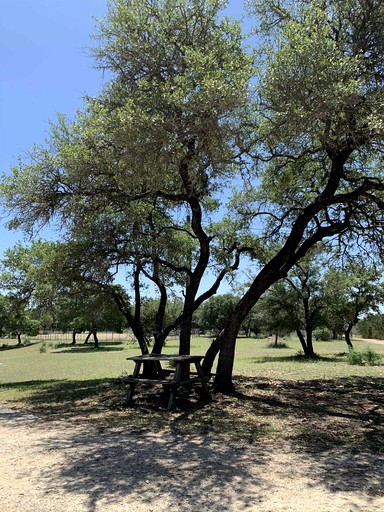 Cabins (Pipe Creek, Texas, United States of America)