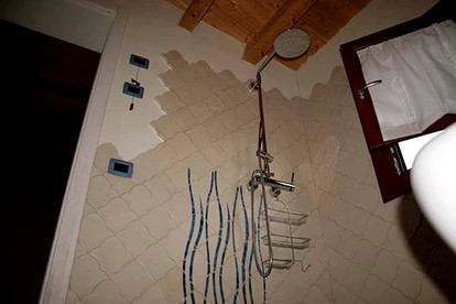 undefined photo 3
