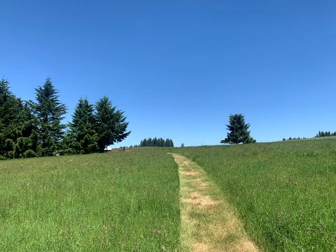 Tipis (Scotts Mills, Oregon, United States of America)