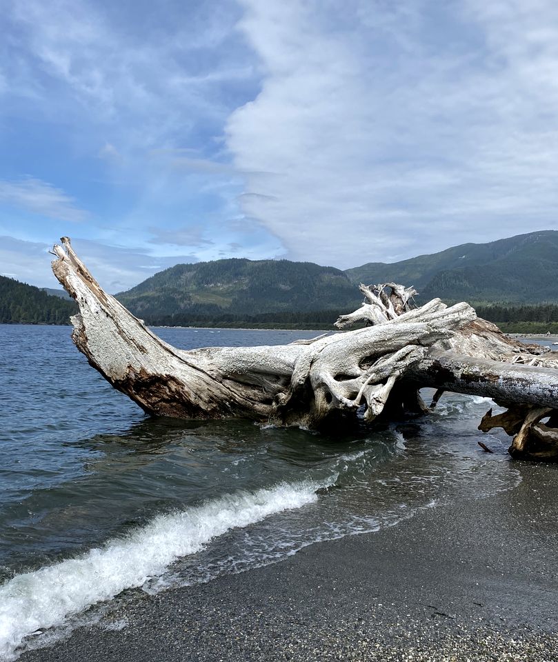 Secluded Ocean Vacation Rental Perfect for a Serene Escape in British Columbia