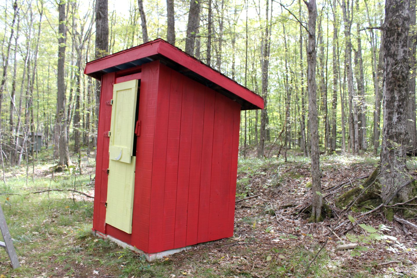 All Season Secluded Cabin Rental in the Woods near Peterborough in Ontario