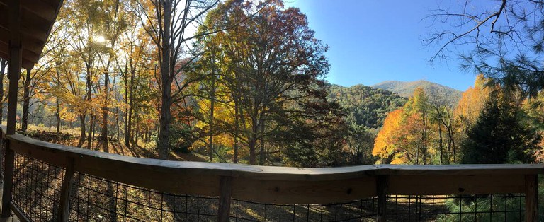 Tree Houses (Canton, North Carolina, United States of America)