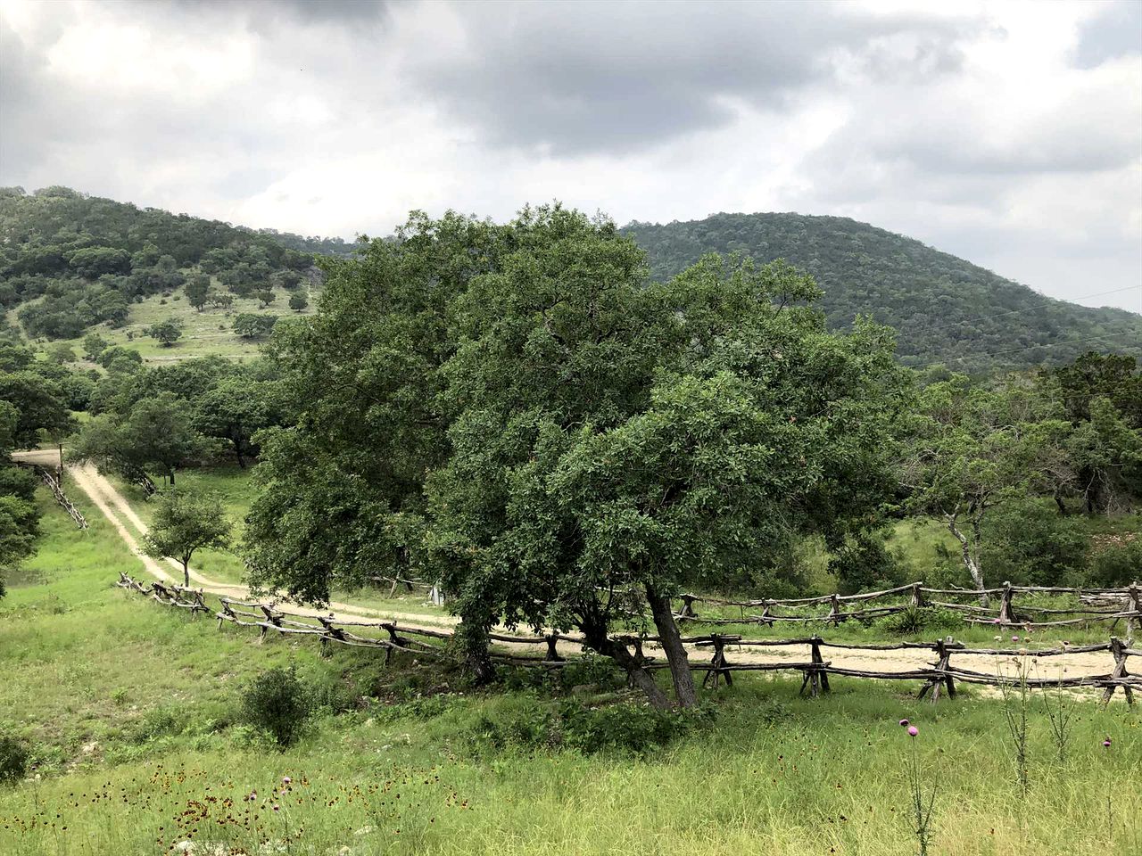Antler Mountain House in Tarpley, TX