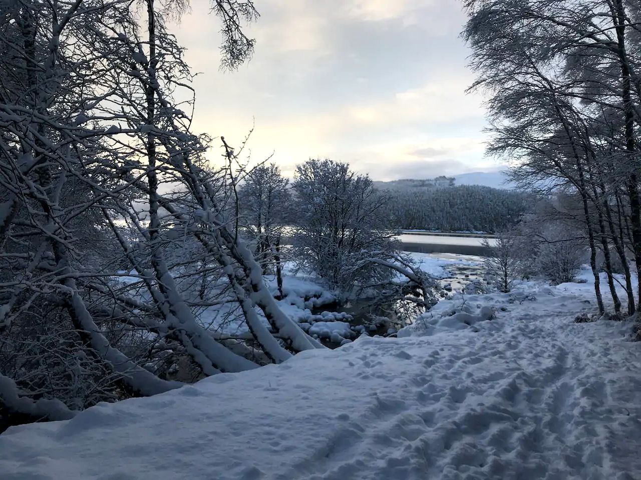 Romantic Shepherd's Hut Rental for Glamping in Scotland