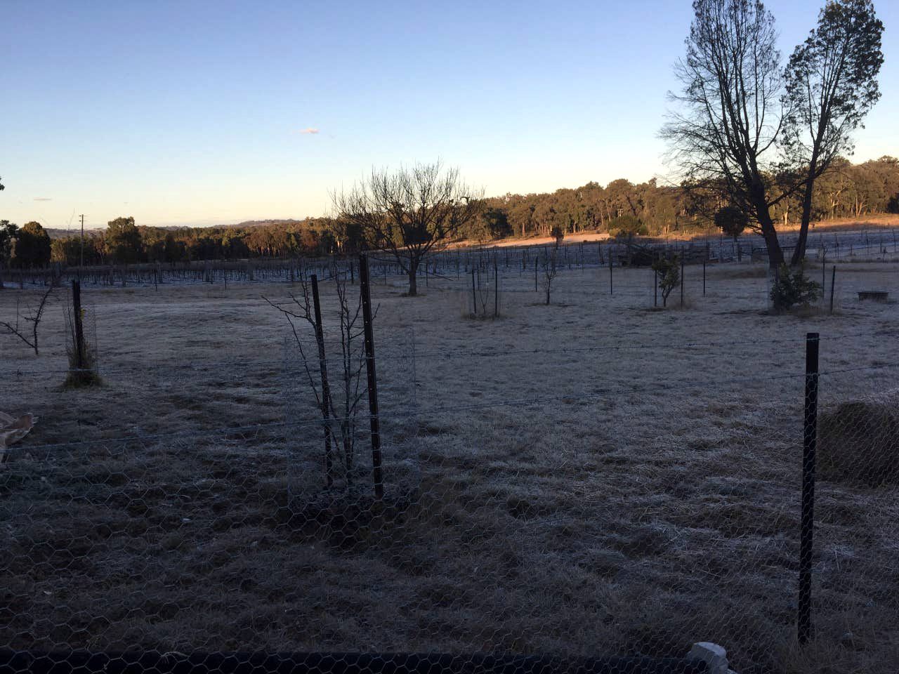 Charming Coonabarabran Cottage Ideal for a Getaway in New South Wales