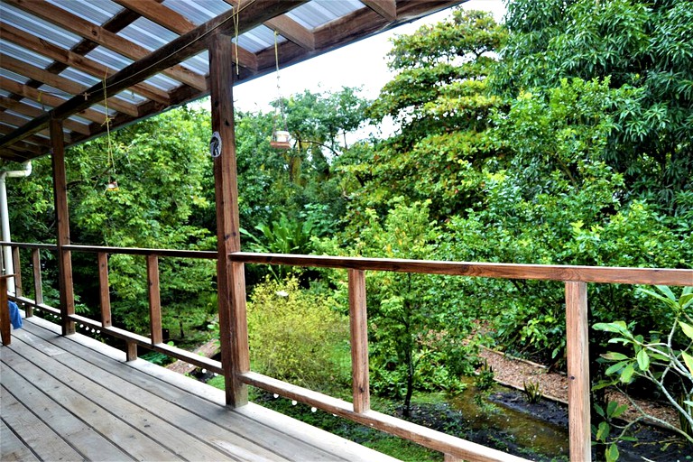 Tree Houses (San Ignacio, Cayo District, Belize)