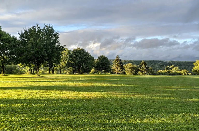 Cabins (Barneveld, New York, United States of America)