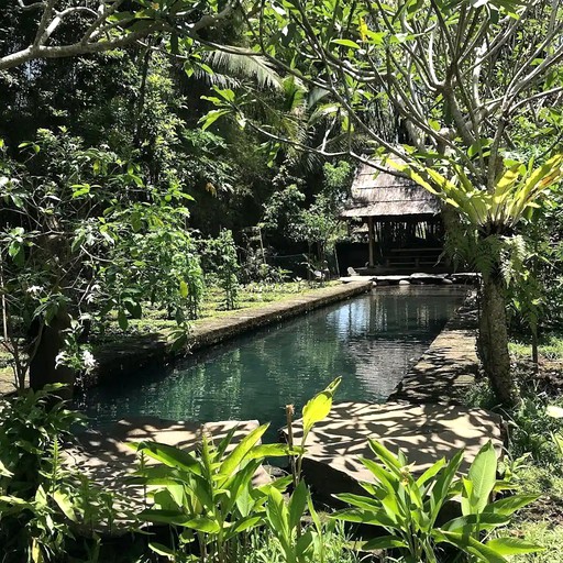 Tree Houses (Denpasar, Bali, Indonesia)