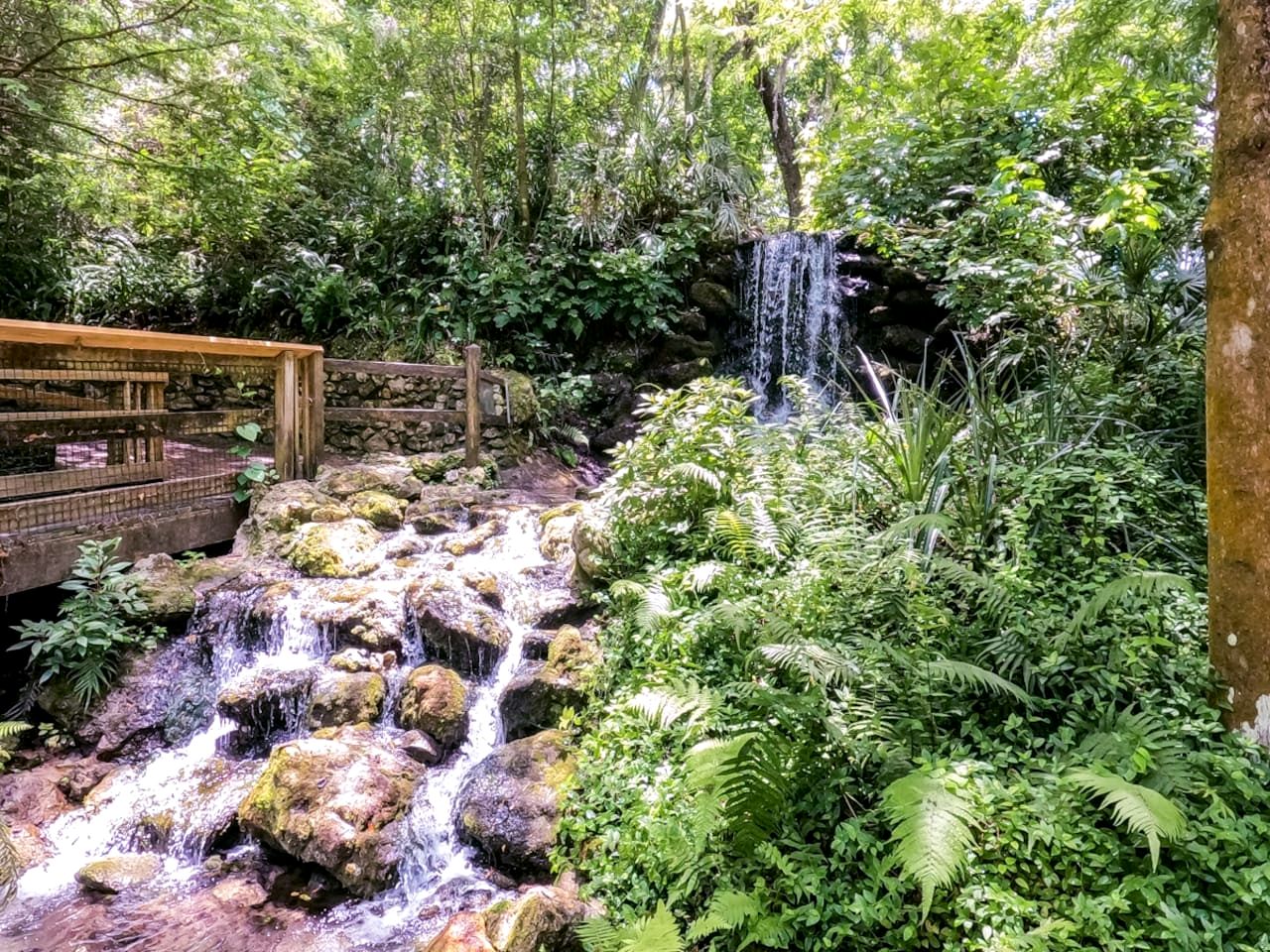 Stunning Cottage by the Rainbow River with Fantastic Amenities for a Wonderful Florida Escape