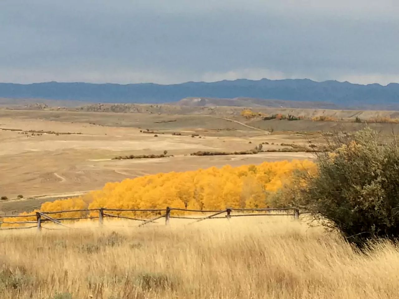Cabin with Alpine Views in Walden, Colorado