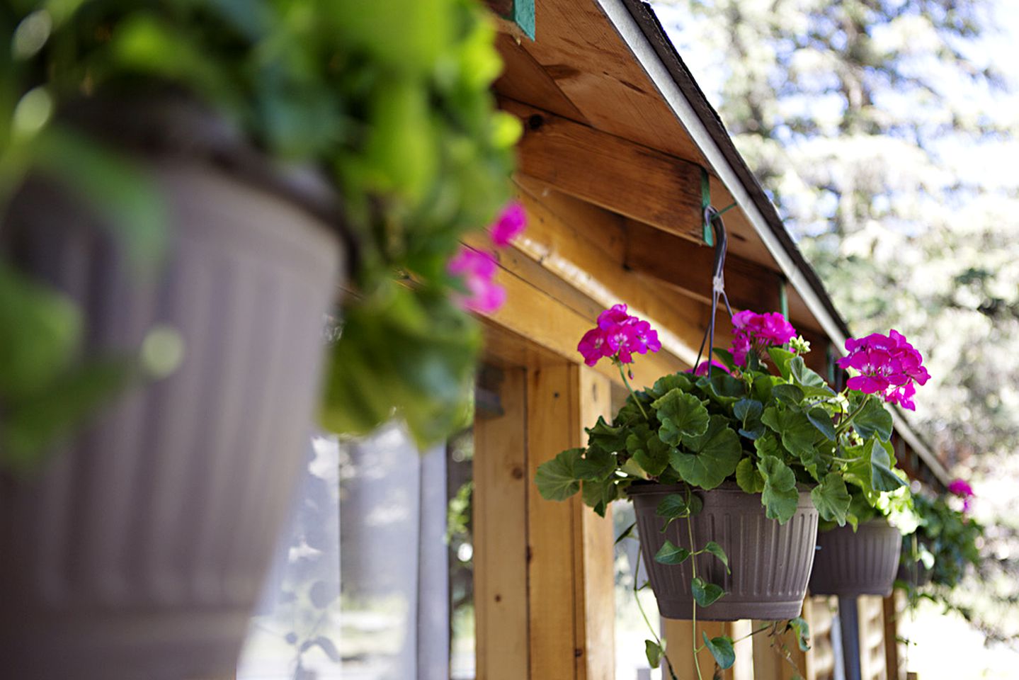 Comfortable Estes Park Vacation Getaway for Groups