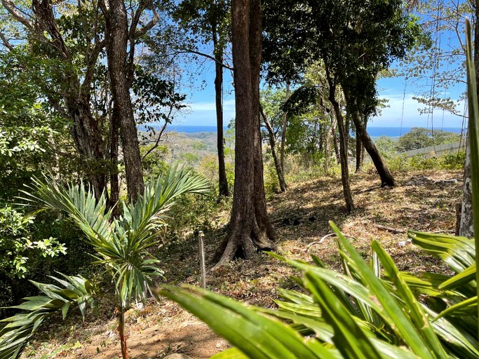 Domes (Samara, Guanacaste, Costa Rica)