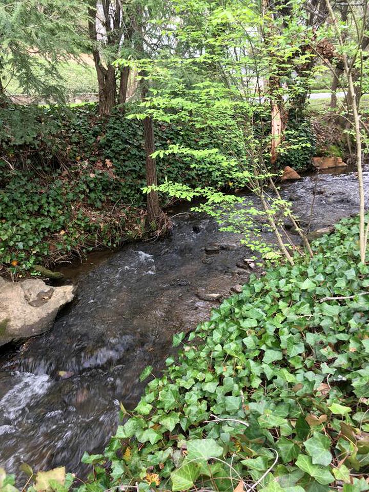 Lovely Smoky Mountains Retreat in Waynesville