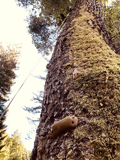 Cabins (Aptos, California, United States of America)