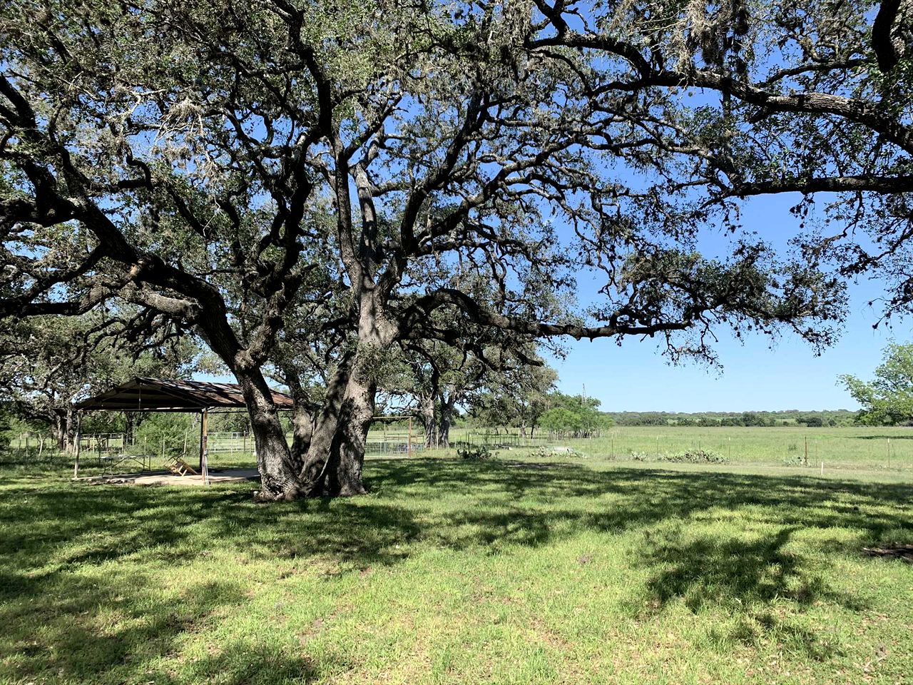 Mighty Oaks Retreat, Valdina Farms, D'Hanis, TX
