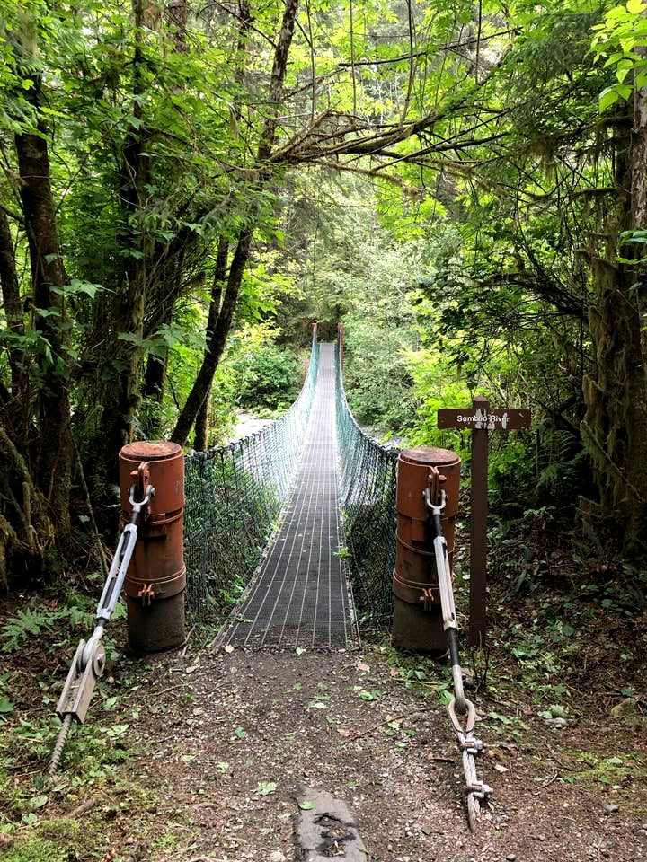 Gorgeous Cottage Close to Fantastic Hiking Trails in Port Renfrew, British Columbia