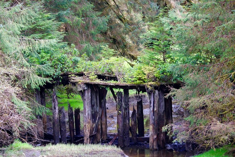 Cottage (Canada, Port Renfrew, British Columbia)