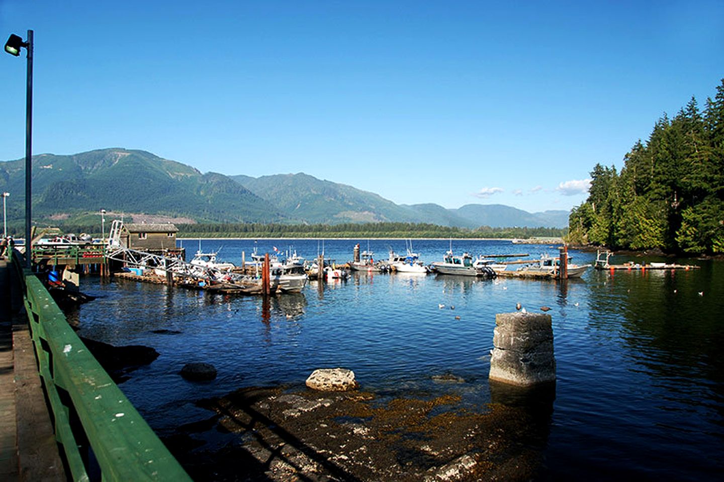Impressive Cottage with Stunning Forest Vistas in Port Renfrew, British Columbia