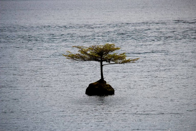 Cottage (Canada, Port Renfrew, British Columbia)