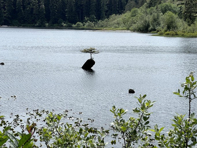 Vacation Rentals (Canada, Port Renfrew, British Columbia)