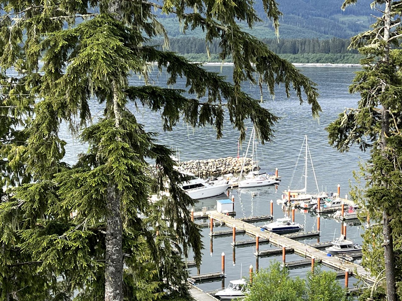 Pet-Friendly Lower Unit Suite with Ideal Mountain Views in British Columbia