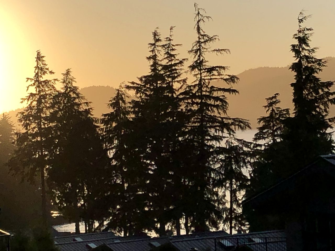 Pet-Friendly Lower Unit Suite with Ideal Mountain Views in British Columbia