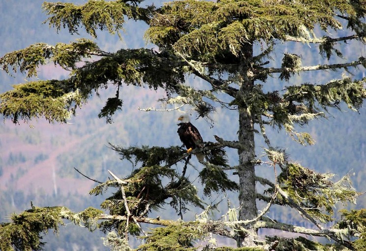 Vacation Rentals (Canada, Port Renfrew, British Columbia)